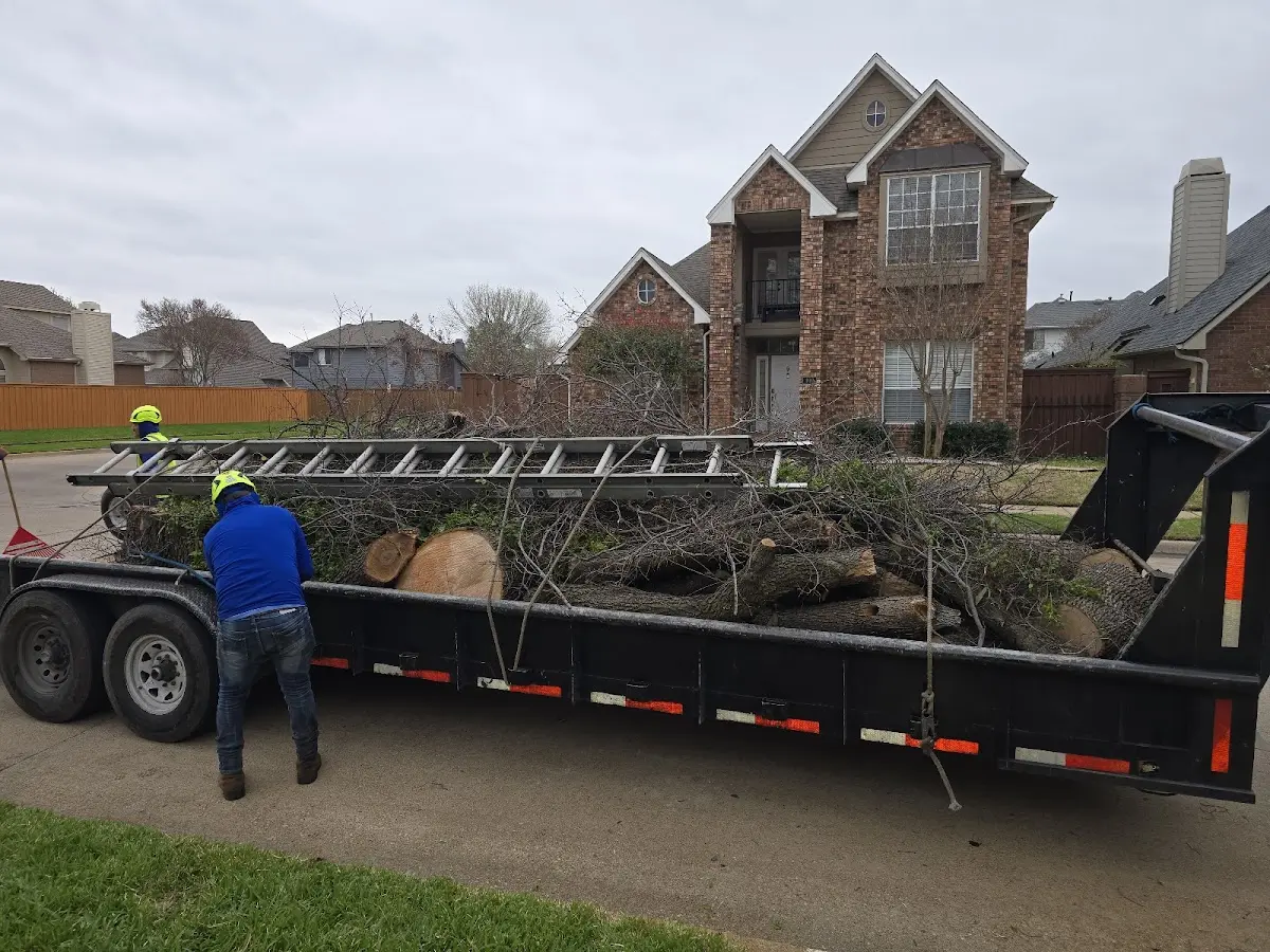 Expert Crown Reduction with proper safety equipment in Skaneateles